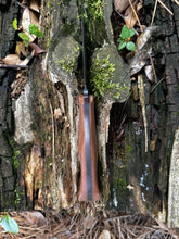 Load image into Gallery viewer, Mako